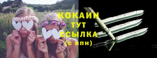 PSILOCYBIN Вязники