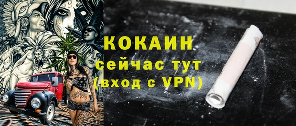 PSILOCYBIN Вязники