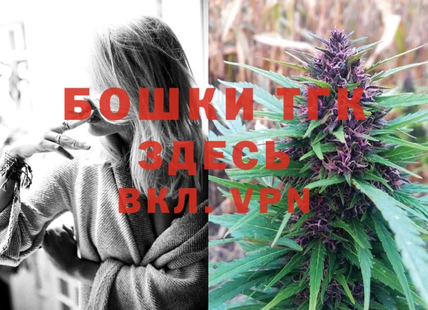 PSILOCYBIN Вязники