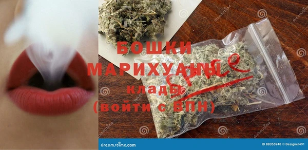 PSILOCYBIN Вязники