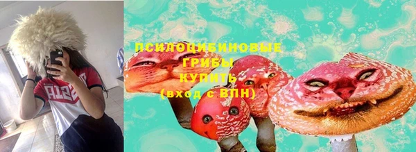 PSILOCYBIN Вязники