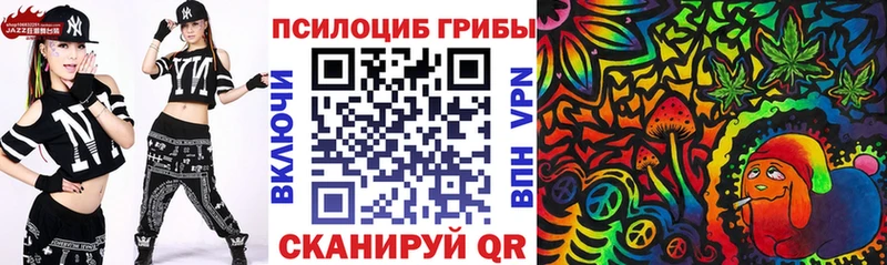 Галлюциногенные грибы Psilocybe  Берёзовка 